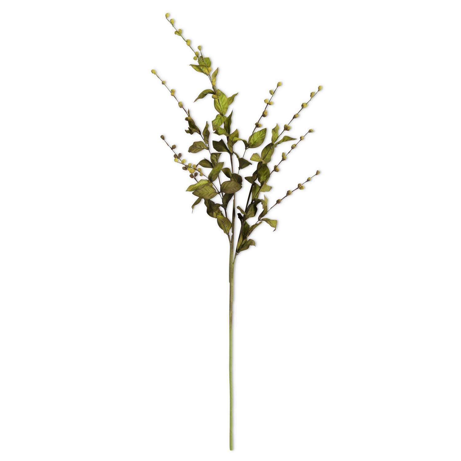 Green European Beech Stem 35"