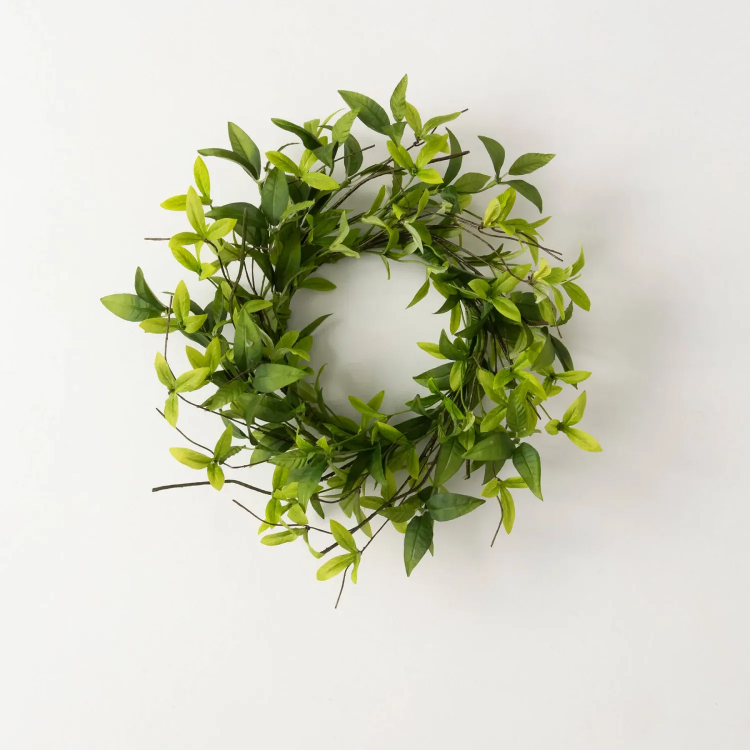 Ruscus Wreath 4.5"