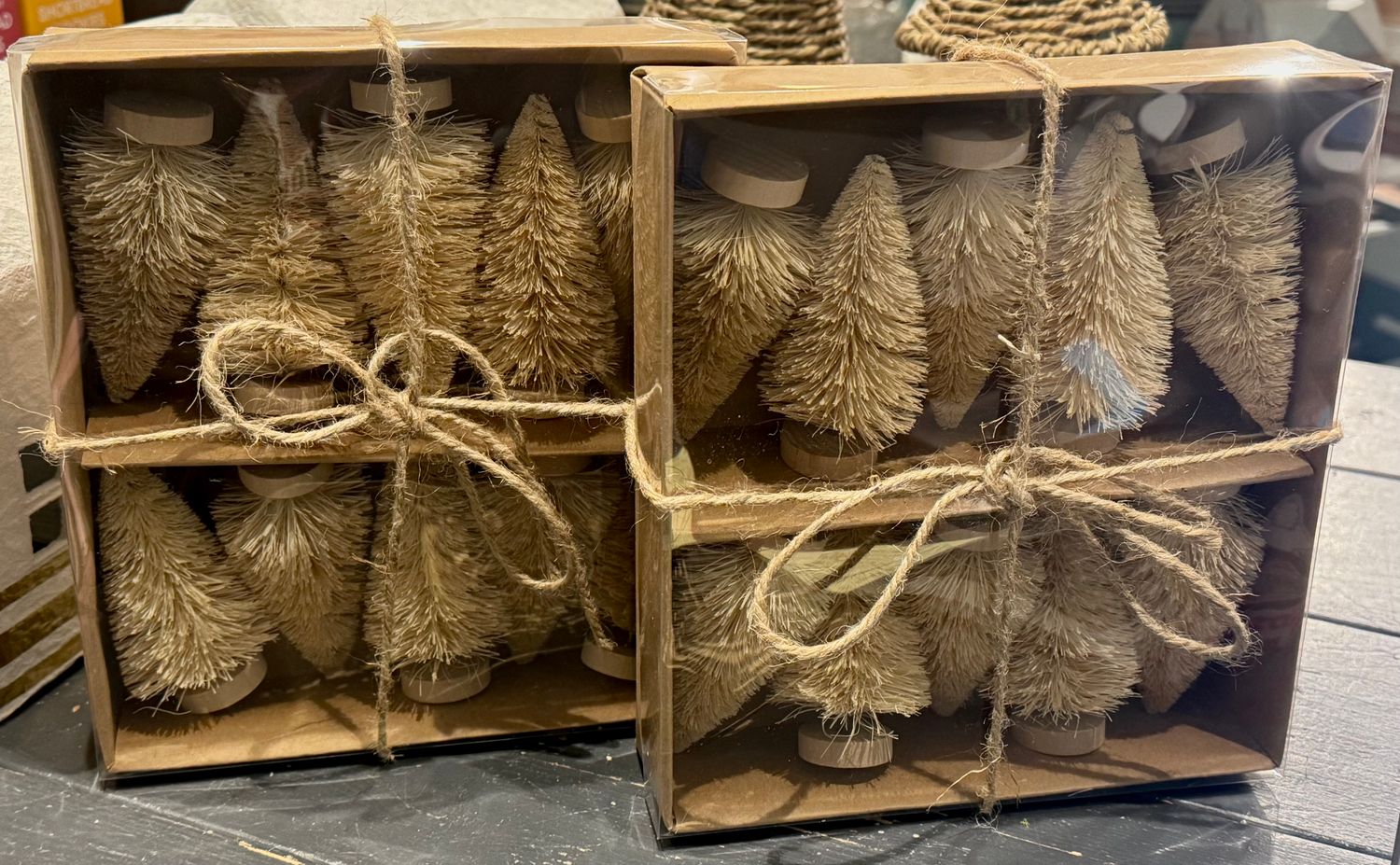Set Of 10 Sisal Bottle Brush Trees In Natural Final Sale