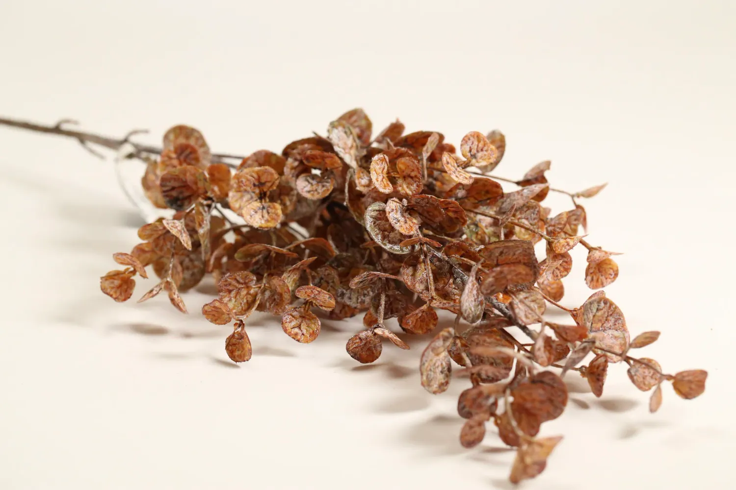 Brown White Washed Eucalyptus Stem 32"