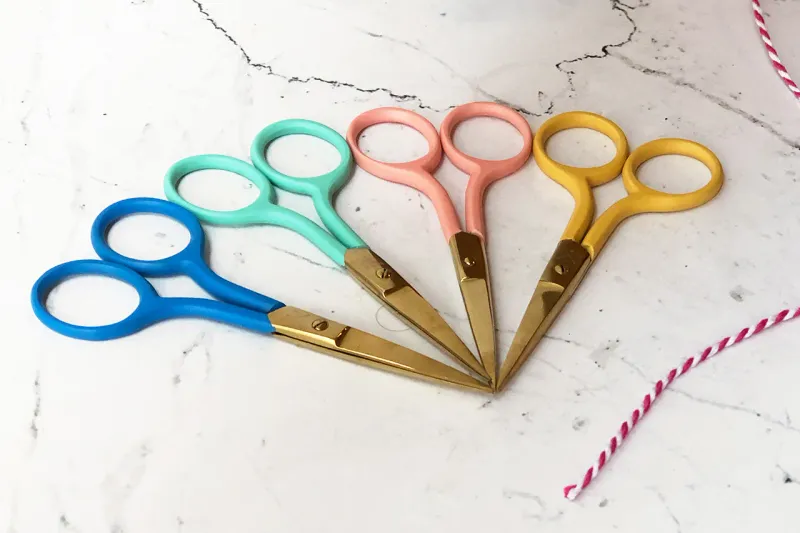 Embroidery Scissors In Coral