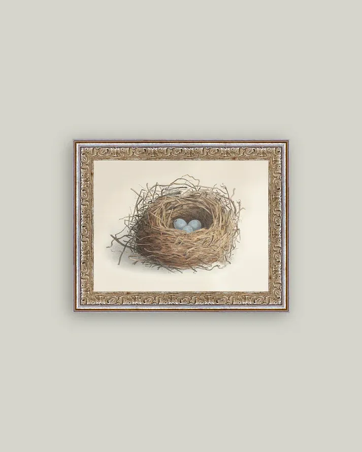 Antique Art Framed Nest With Blue Eggs 10x8