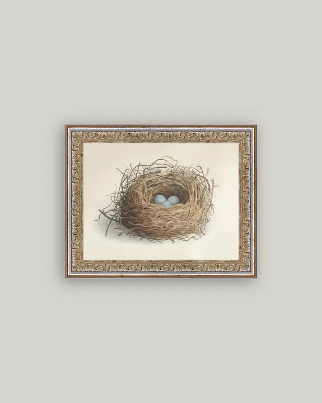 Antique Art Framed Nest With Blue Eggs 10x8
