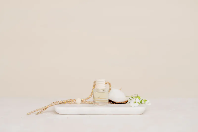 Car Diffuser White Lotus