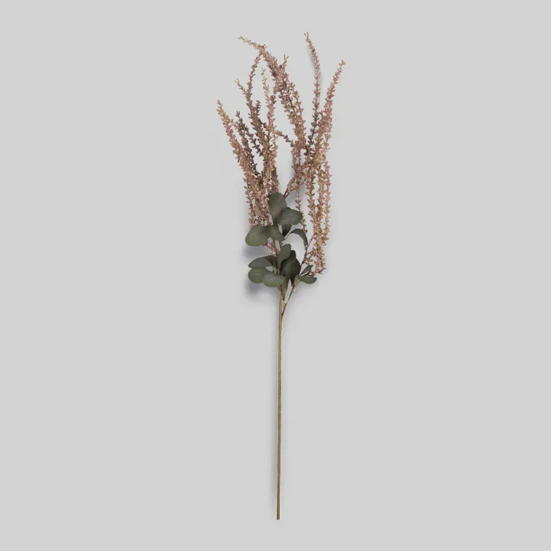 Amaranthus Stem In Blush