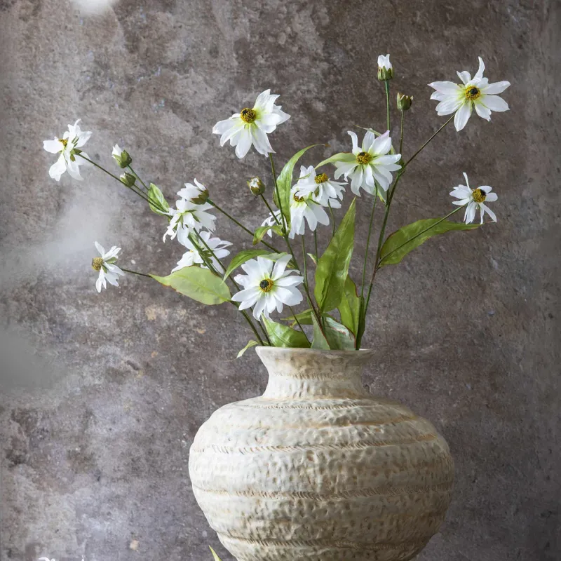 Wild Cosmos In White