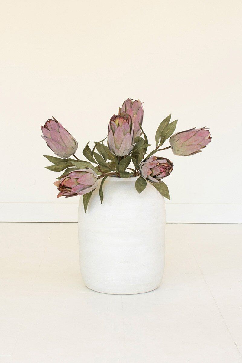 Botanica Protea Bud Stem 26"