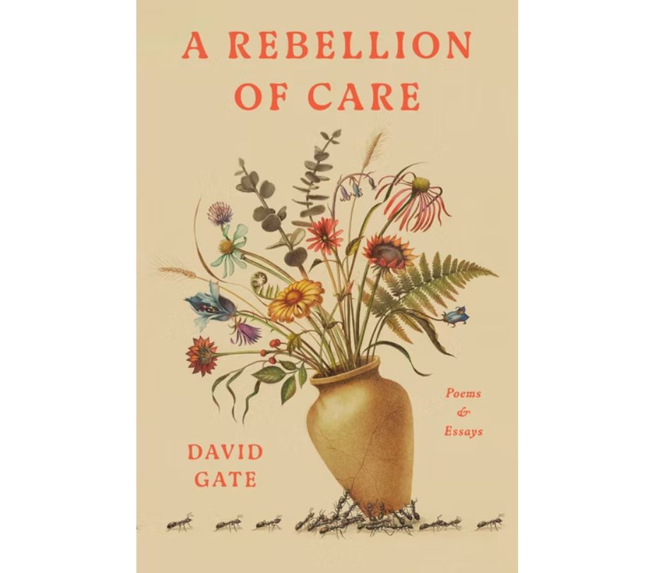 Book A Rebellion Of Care