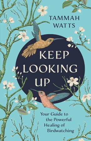 Book Keep Looking Up