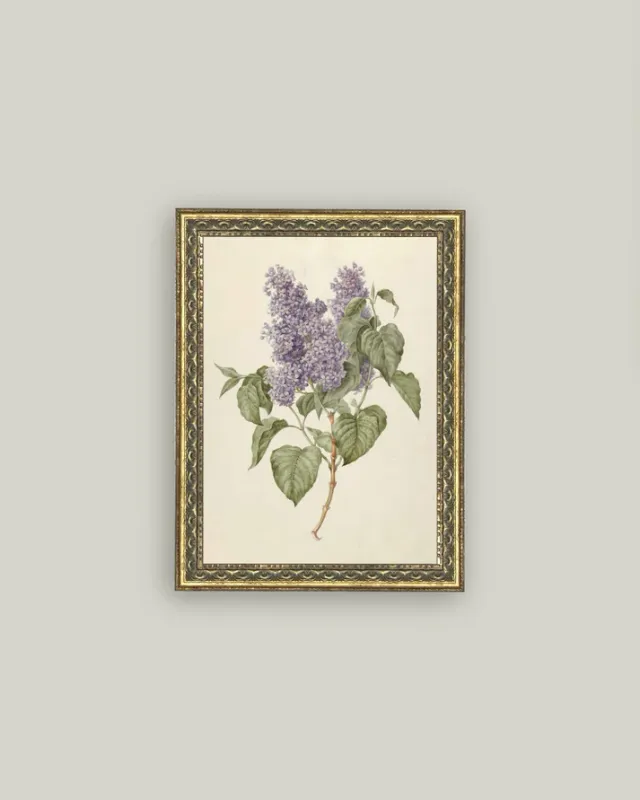 Antique Art Framed Lilac Branch 12" x 16"