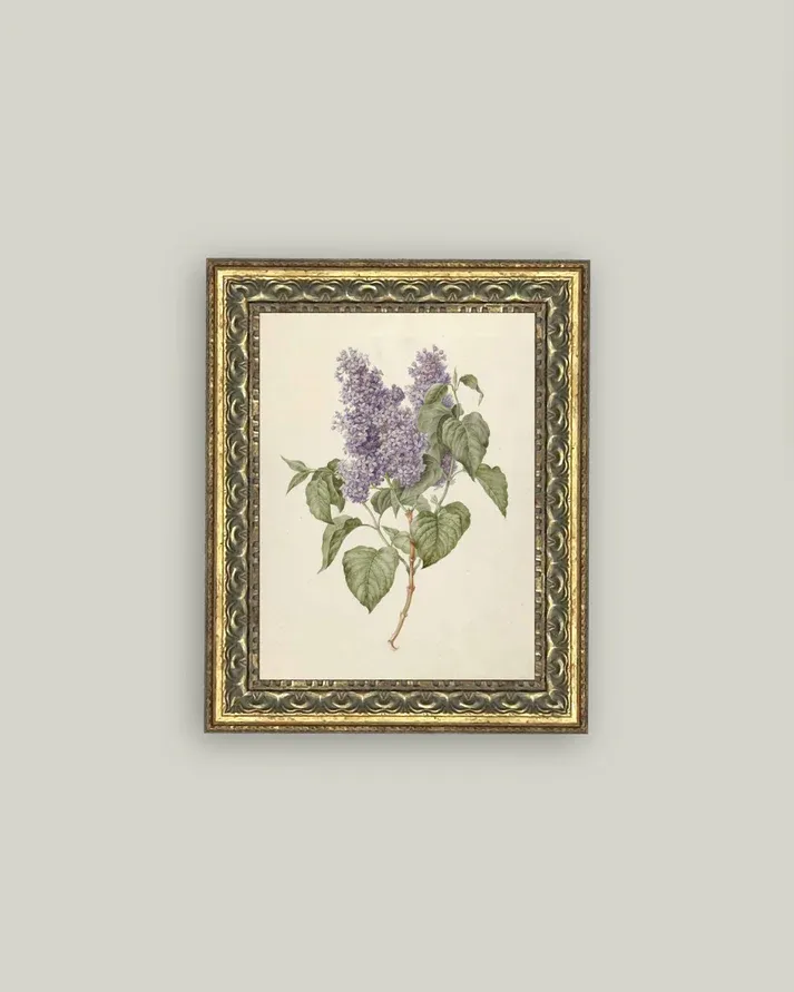 Antique Art Framed Lilac Branch 8" x 10"