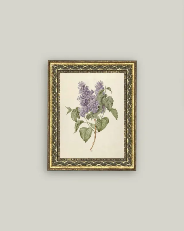 Antique Art Framed Lilac Branch 8" x 10"
