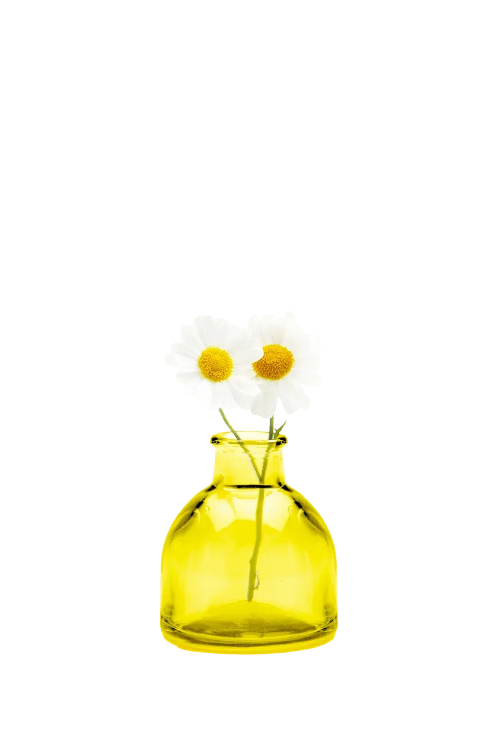 Round Bottle Yellow Loft Vase