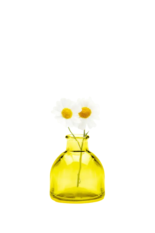 Round Bottle Yellow Loft Vase