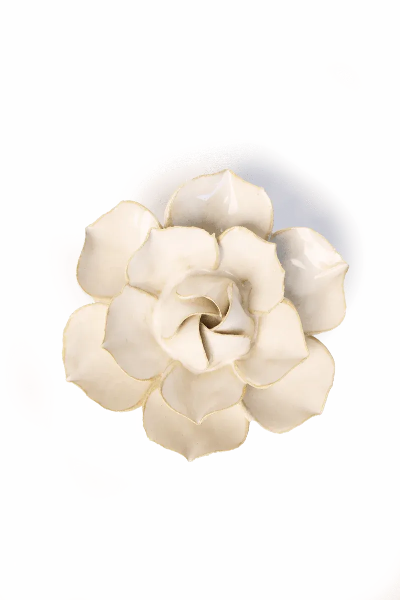 Ivory Daffodil Small