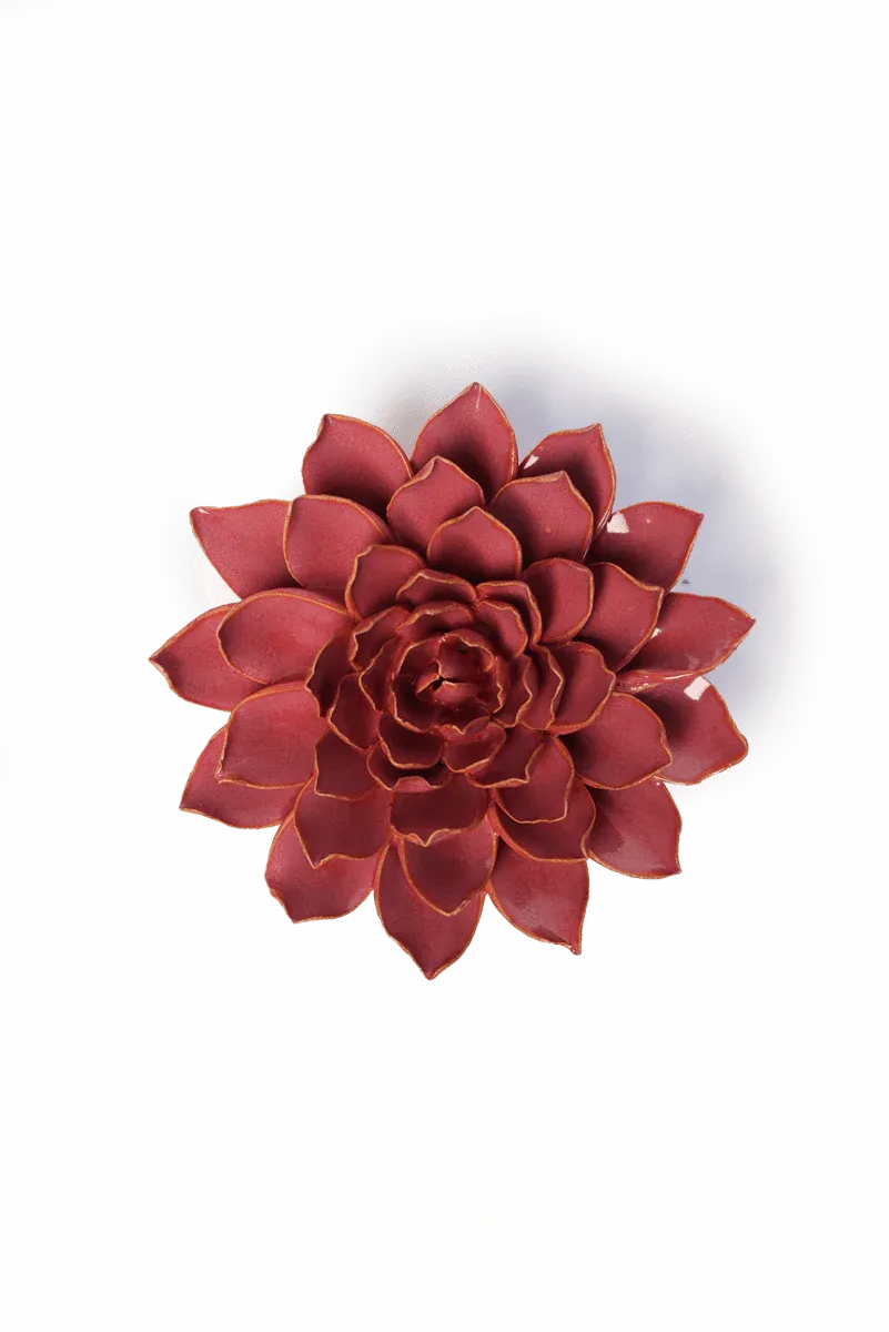 Blush Pink Madonna Azelea Medium