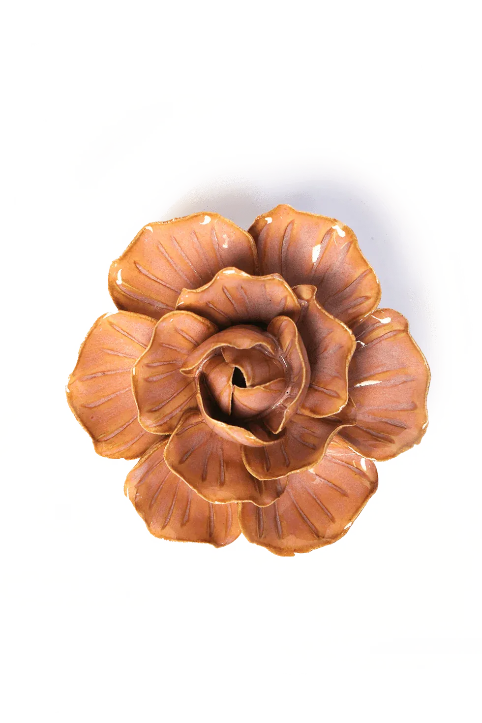 Peach Pink Solar Carnation Small