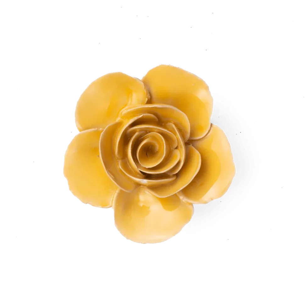 Burnt Yelllow Elegance Ranunculus Small