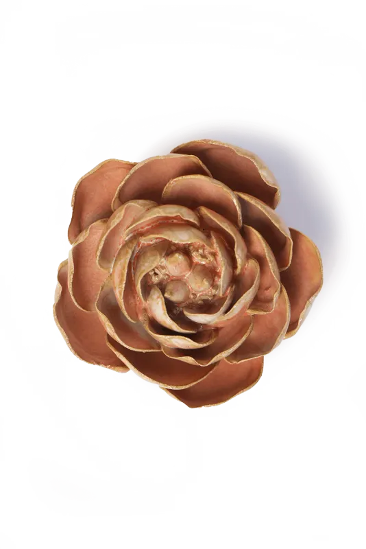 Peach Pink Big Ben Peony Small