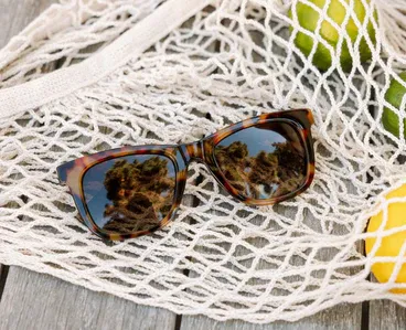 Peepers Reading Sun Harbor Tortoise +2.00