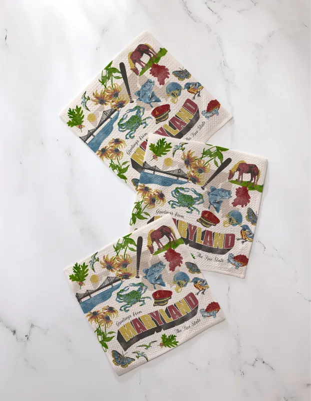 Geometry Dishcloth 3 Pack Greetings From Maryland