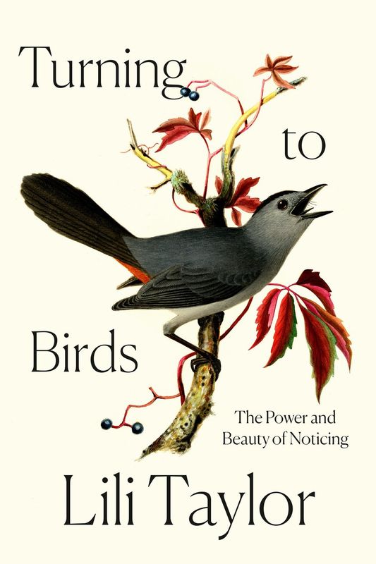Book Turning To Birds