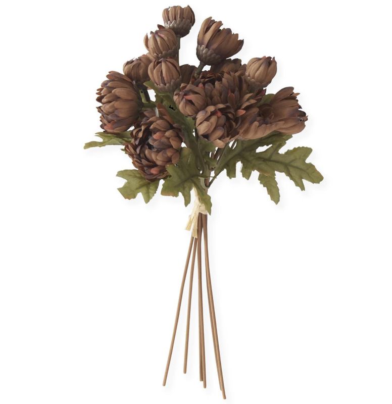 Brown Dahlia Bundle Of 6 Stems 10"