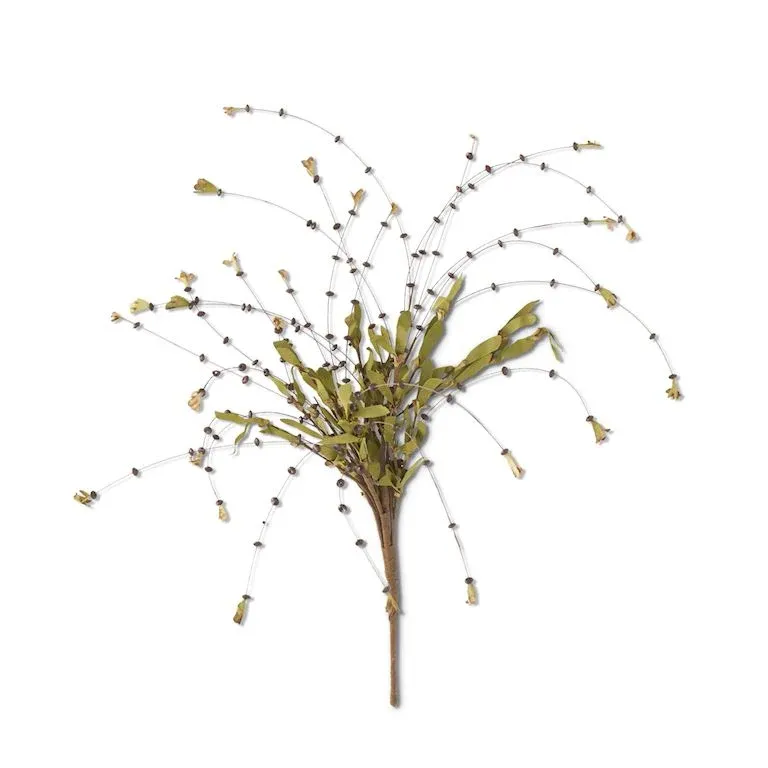 Black Bead Bud Spray With Green Foliage 25"