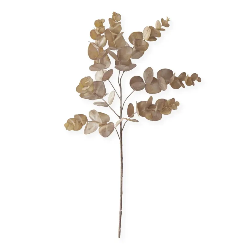 Brown Eucalyptus Stem 24"