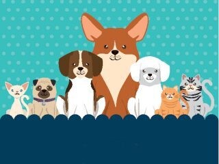 Mascotas