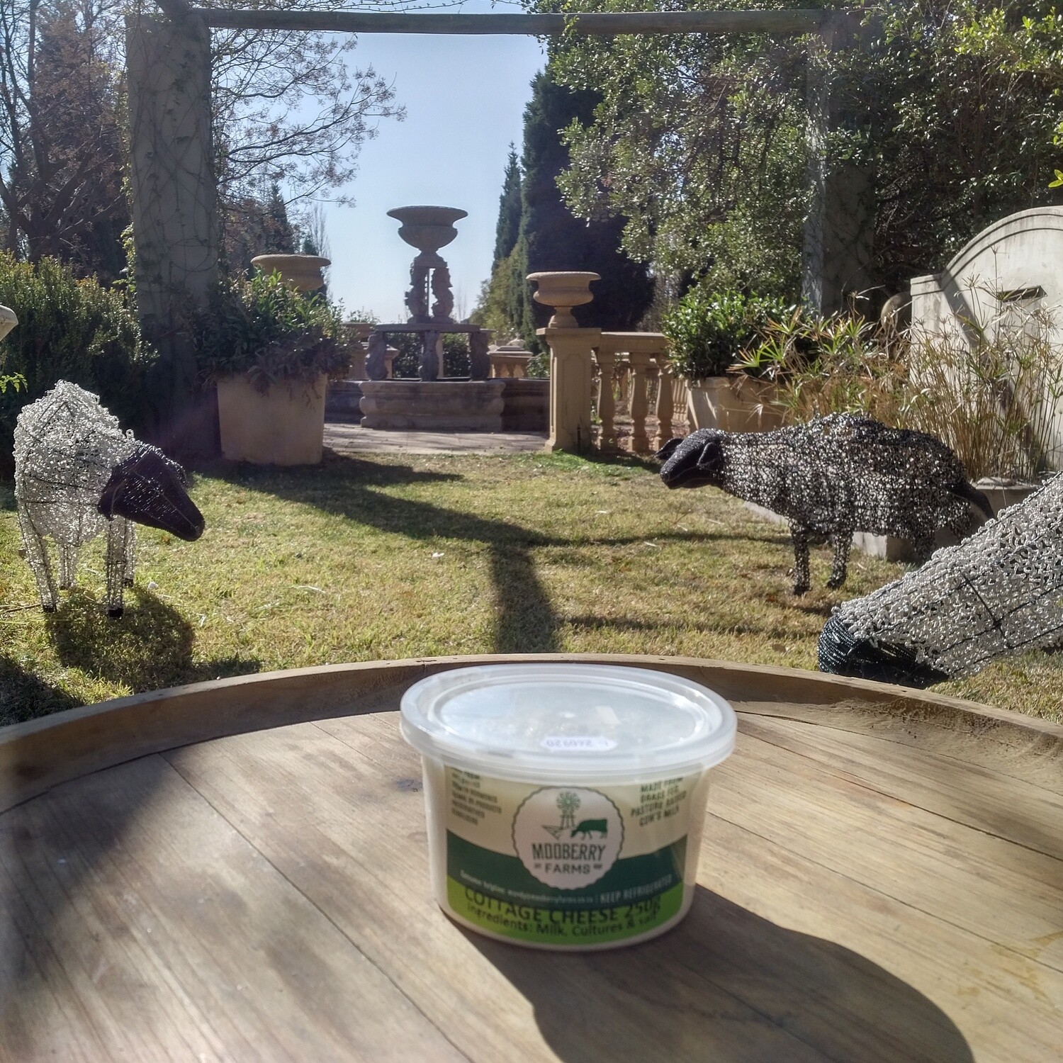 Mooberry Cottage Cheese 250g Mooberry Cottage Cheese 250g