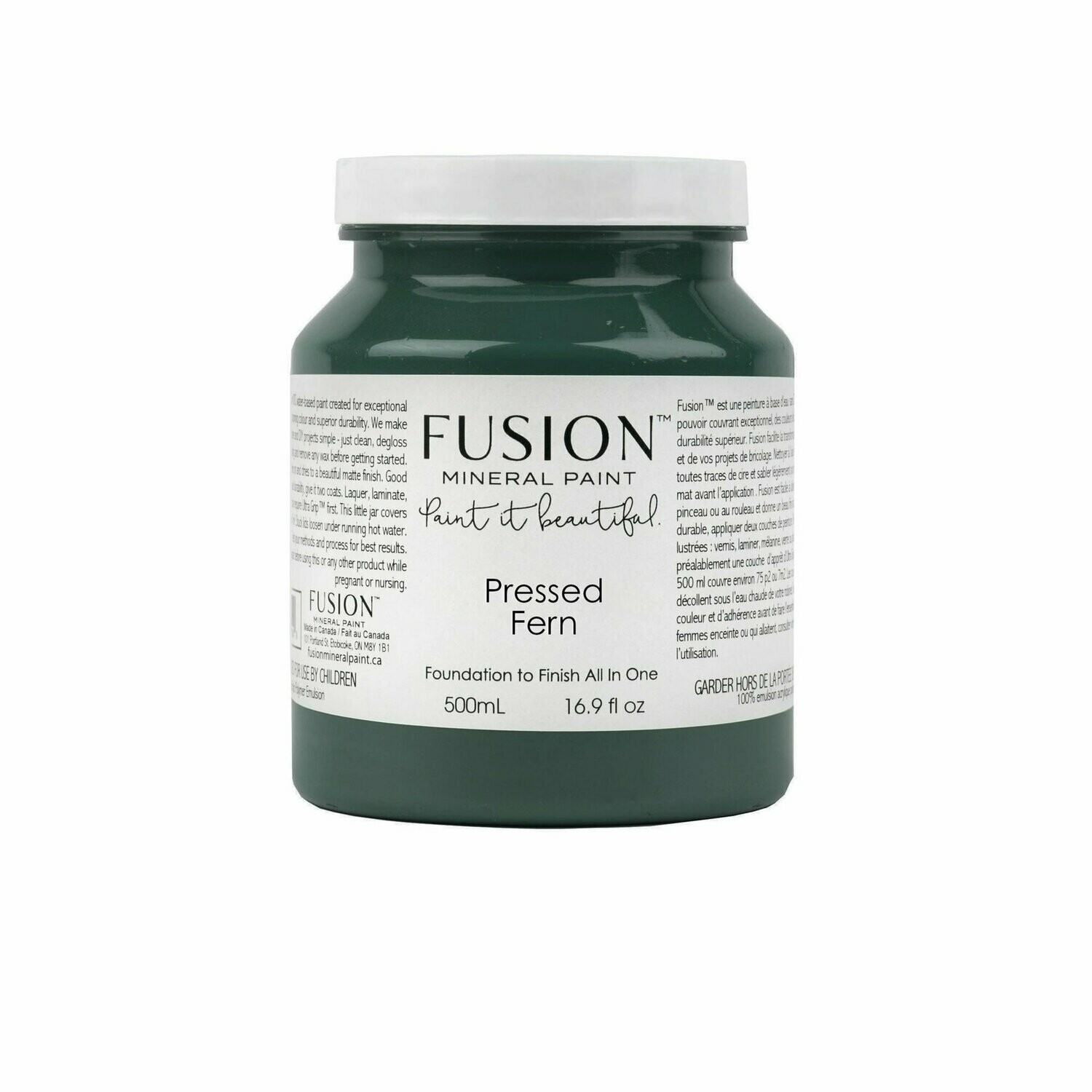 Fusion Paint Pressed Fern