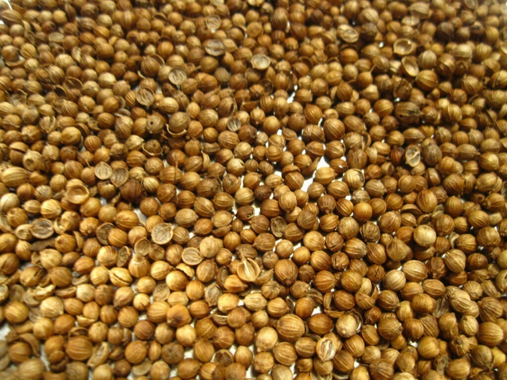 100% ÄTHERISCHES ÖL CORIANDER