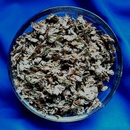 JASMINBLÜTEN