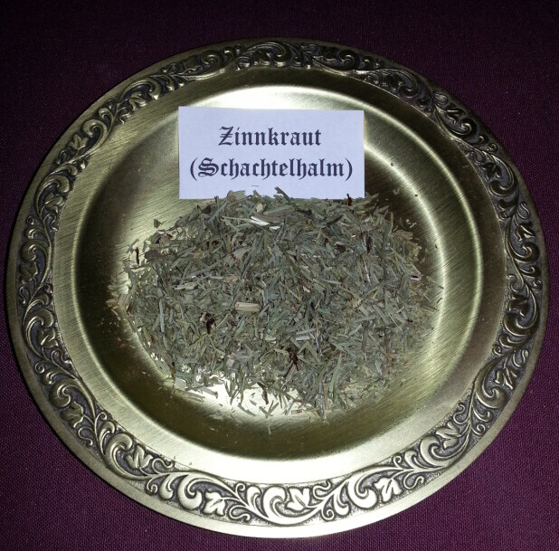 ZINNKRAUT (Schachtelhalm)