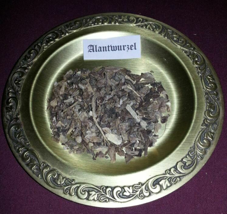 ALANTWURZEL