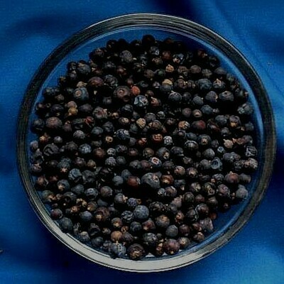 WACHOLDER-BEEREN