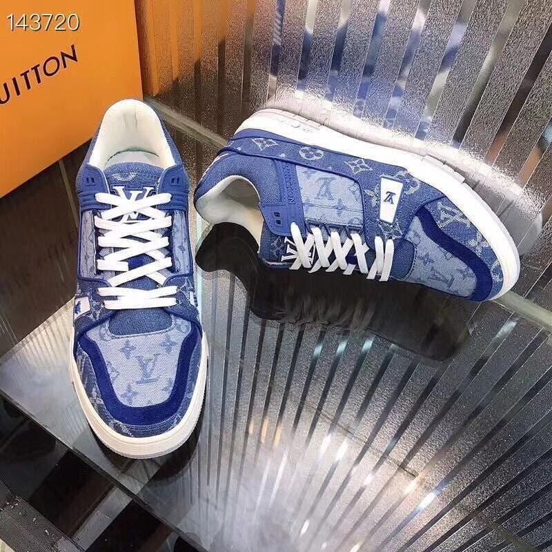 A Louis Vuitton shoe
