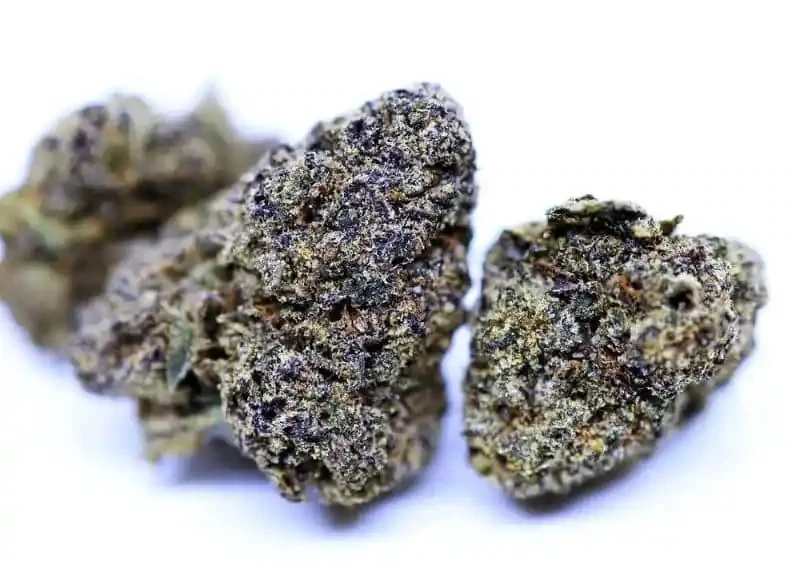 BLACK RUNTZ-THC-A FLOWER-H