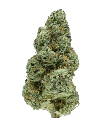 MULE FUEL THC-A FLOWER