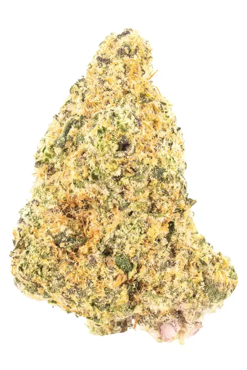 SHAKE SHACK THC-A FLOWER- H