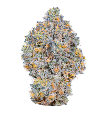 BLUE NERDZ THC-A FLOWER-S