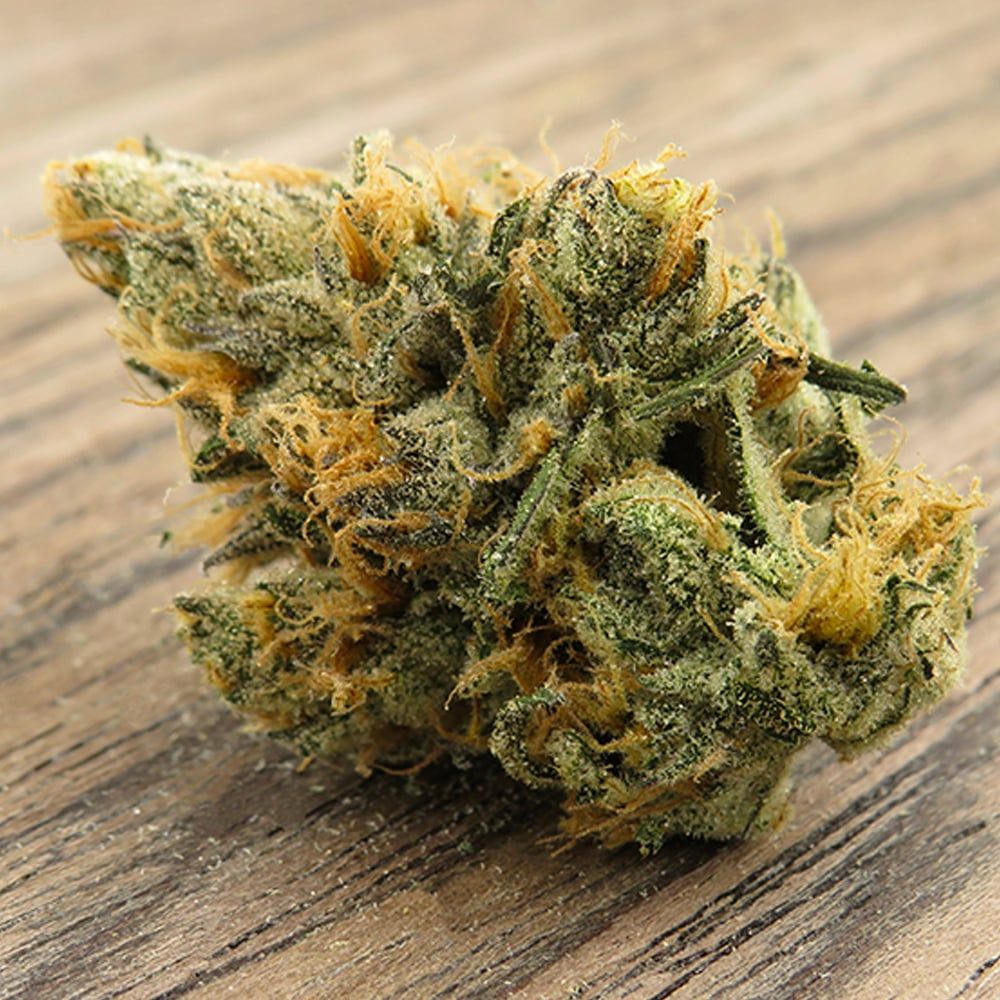 MAUI TRUE BLOOD THC-A FLOWER-S