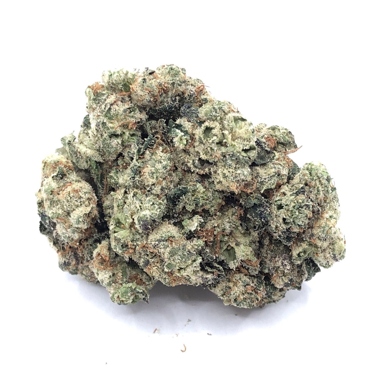 BLACK BISCOTTI THC-A FLOWER-I