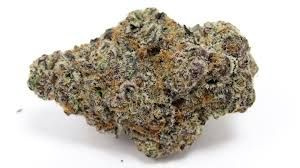 GLITTER BOMB THC-A FLOWER-I