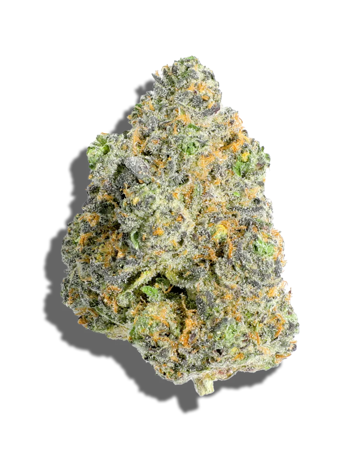 BLACK AMBER THC-A FLOWER-I