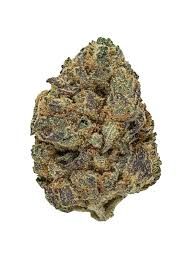PAPAYA PUNCH THC-A RESERVE FLOWER-I