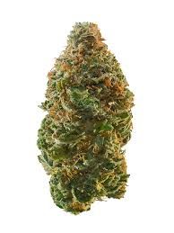 ANIMAL SHERBERT THC-A FLOWER-I
