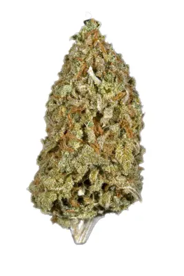 KANDY KANE THC- RESERVE FLOWER-H