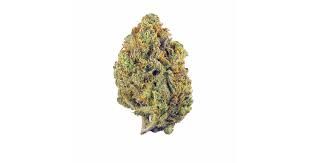 PUNCH BERRY THC-A FLOWER- H